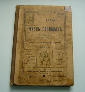 Жизнь гонимых Томпсон