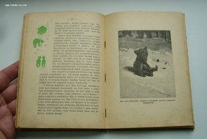 Жизнь гонимых Томпсон