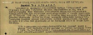 Пара Отваг с доком, на одного. Рукопашный бой