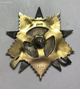 ОВ 1 степени N245819 (дубликат по чистому)