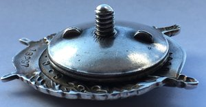 БКЗ  №13297 "зеркалка"