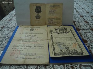 Благодарность  ВГК за   Франкфурт Кавказ,Берлин на одного