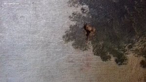 Антикварная картина «Деревенский пейзаж», масло, холст, 19 в