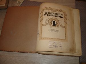 Пушкин Александр Сергеевич Евгений Онегин / А. Пушкин ; ил.