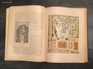 Регель А. Изящное садоводство и художественные сады. 1896