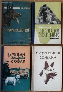 ПОПОЛНЯЕМАЯ-6 Спорт охота рыбалка