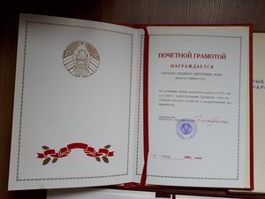 Комплект грамот и настольная медаль .На одного.