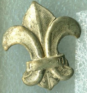 Петличная эмблема №2