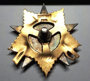 Ов 1ст Посмертная на Ротного!