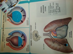 30 книг по медицине+27 плакатов по медицине