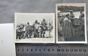 Набор фотографии «Мурманский фронт- зима 41/42» 69 фото