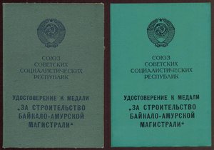 БАМ 2 шт. на мужа и жену, разные.