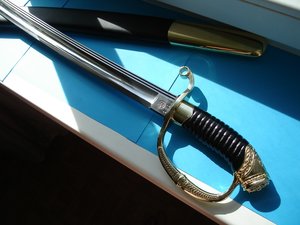 ШАШКА ДРАГУНСКАЯ