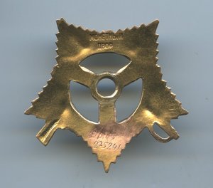 Штрал ОВ-1 Дубликат.