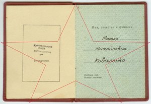 ОК на партизанку (КЗ и БКЗ), Легитимация Партизанский крест