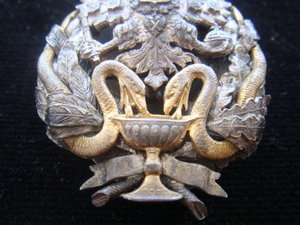 Знак врача, имеющего звание лекаря, Серебро