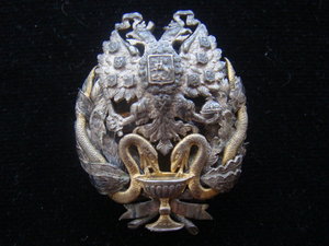 Знак врача, имеющего звание лекаря, Серебро