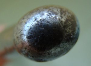 Швейцарский бюджетный.