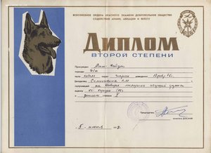 Дипломы 1-2 степени Московской выставки собак ДОСААФ 1977-78