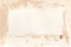 Молотов,Рузвельт,Черчиль. Симферополь,1945 год.