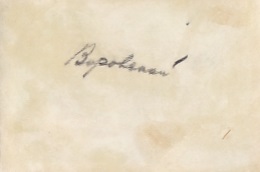 Полпред и торгпред в Италии В.В.Воровский.