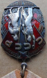 Орден ЗП №1109186.+док.