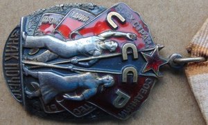 Орден ЗП №1109186.+док.