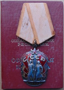 Орден ЗП №1109186.+док.