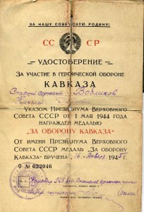 Много доков на кавалера ДВУХ СЛАВ №1927 и №3753. Кавказ.