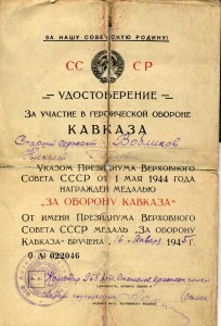 Много доков на кавалера ДВУХ СЛАВ №1927 и №3753. Кавказ.
