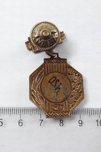 Знак спортивный Первенства БССР 1953