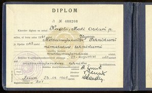 Йыгеваский лесохозяйственный техникум в серебре, красотища!