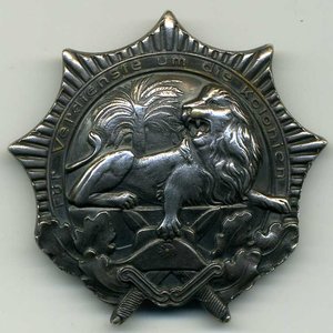 Африка. Лев.