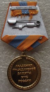 за заслуги и вклад,академия гражданской защиты МЧС