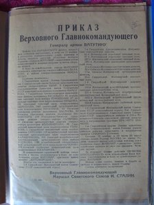 Документы,справки,выписки и др.