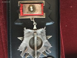 Отечкаll подвесная