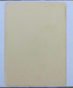 Участнику 2 слёта Стах- Крив.Юж.-Дон.жд