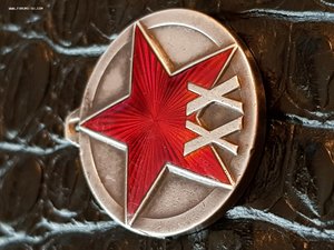 ХХ лет РККА без колодки и кольца