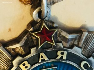 Трудовая Слава №22104
