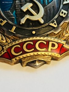 Трудовая Слава №22104