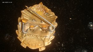 суворовское училище-сохран.