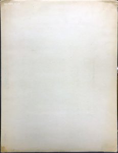 Маршал Тимошенко. Большое  фото работы Вайль. R. 1939 г.