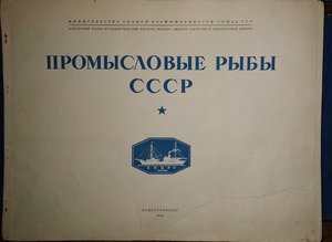 Атлас промысловые рыбы СССР