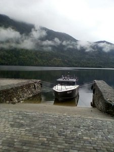 50 копеек 1921-1926 г.г.  20 штук