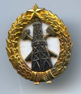 Институт нефти и газа. Люкс.