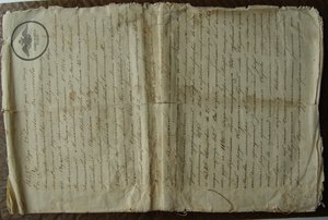 Родовое дело Окушков, Могилевская Губерния XIXв.