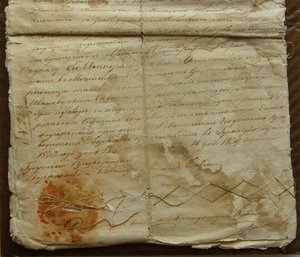 Родовое дело Окушков, Могилевская Губерния XIXв.