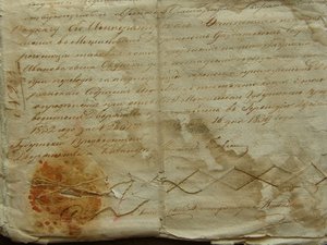 Родовое дело Окушков, Могилевская Губерния XIXв.