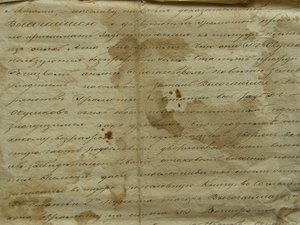 Родовое дело Окушков, Могилевская Губерния XIXв.