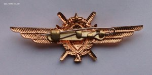 Классность ,2 класс лётчик.